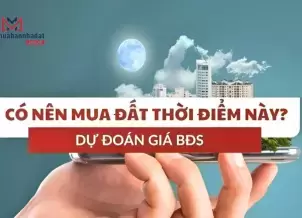Năm 2025: Liệu rằng “Có nên mua đất thời điểm này?”