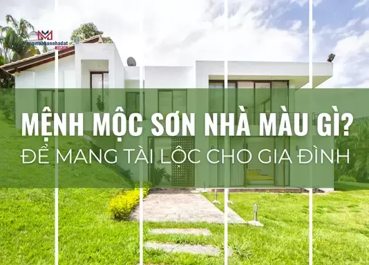 Mệnh mộc sơn nhà màu gì để mang lại tài lộc và hạnh phúc cho gia đình?