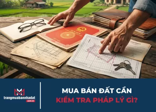 Mua bán đất cần kiểm tra pháp lý gì? 9 điều quan trọng để tránh rủi ro khi xuống tiền