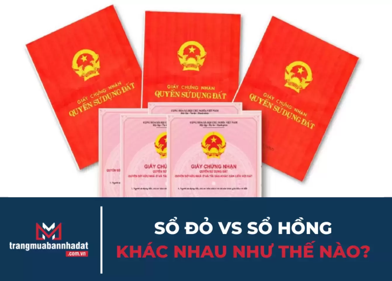 Sổ đỏ vs sổ hồng khác nhau như thế nào? Phân biệt đúng để tránh rủi ro khi mua nhà