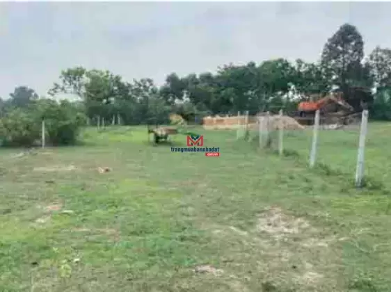 Bán gấp đất 154m2 chợ Phước Thạnh, TL 7 giao quốc lộ 22. Sổ hồng riêng giá 850 triệu bớt lộc