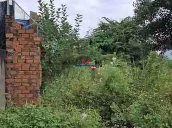 Bán đất hẻm ô tô đường 11 Cát Lái TP Thủ Đức, giá 5,5 tỷ gần chợ Cây Xoài
