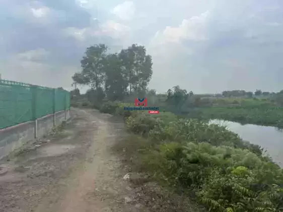Bán đất mặt tiền Sông Rạch (6.000m2) có vườn cây ăn trái. Xã Trung An, H Củ Chi, TPHCM