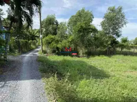 Gấp hàng ngộp 546m2 đất vườn 3,2 tỷ giảm còn 2,8 tỷ xã Bình Chánh H.Bình Chánh cách Đinh ĐTh 100m
