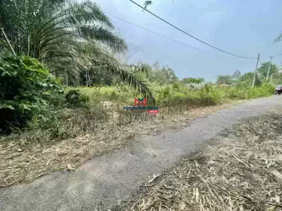 Bán đất tại xã Thái Mỹ, Củ Chi - giá cực chất 4,5 tỷ vnd, diện tích 1245 m2