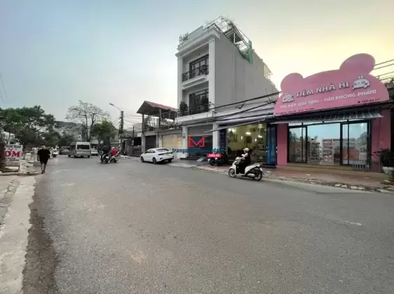 Bán đất tặng nhà 1 tầng mặt đường Trung Lực - 100m2