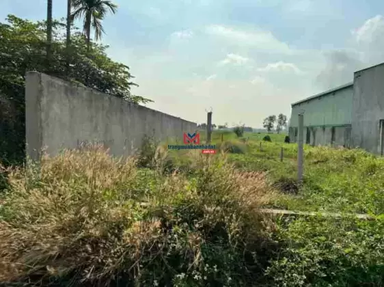 Đất chính chủ gửi cần bán gấp thuộc Xã Tân Thạnh Đông, Huyện Củ Chi, DT: 6 x 36m, giá 1ty900tr