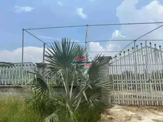 Bán nhanh lô đất đường xe hơi, xã An Thới Đông, Cần Giờ - DT 997m2, full thổ, giá: 6.3tr/m2
