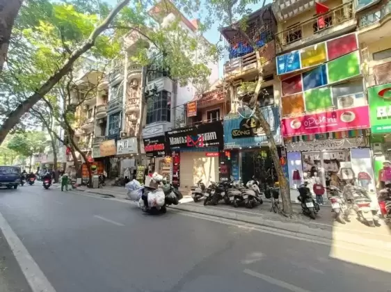 Bán nhà cực hiếm mặt phố Trần Đăng Ninh