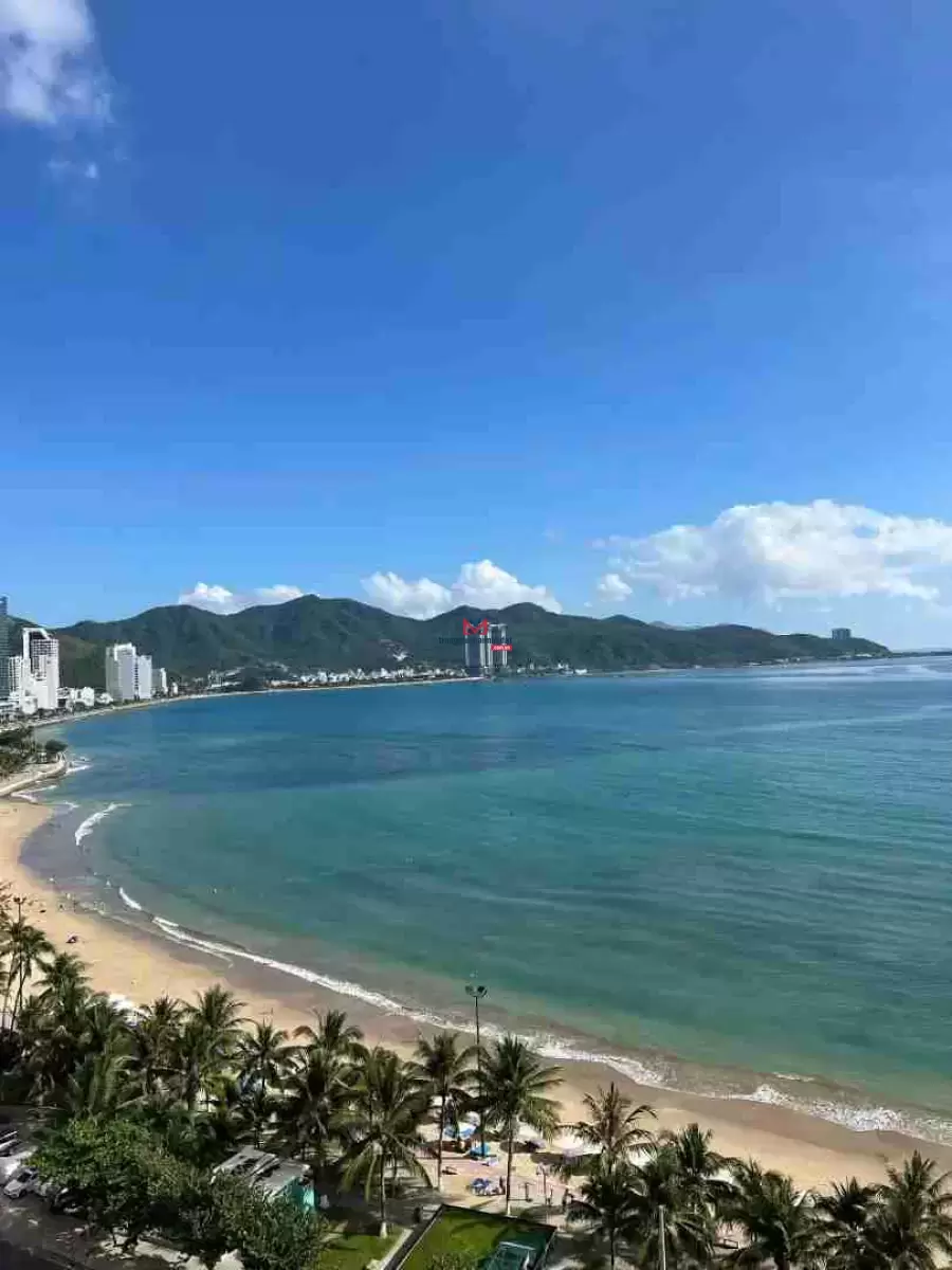 classifieds/2025_01/can-ho-bien-nha-trang-sat-bien_3.jpg