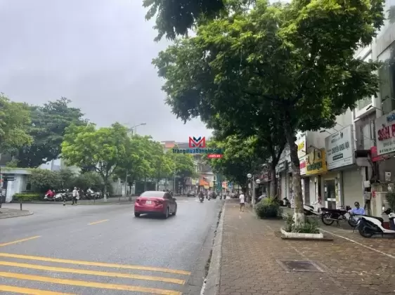 Chính chủ cần tiền gấp bán nhà mặt phố Trường Lâm