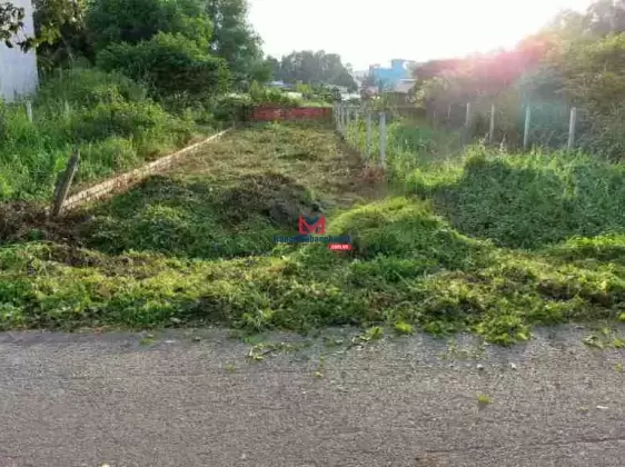 Cần bán trước Tết đất mặt tiền đường nhựa 460, 5x25, Trung An, Củ Chi, từ 2,6 tỷ còn 2.3 tỷ