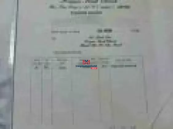 Bán đất 1ha (10.000m2) đường xe tải xã Bình Lợi giá 16tỷ