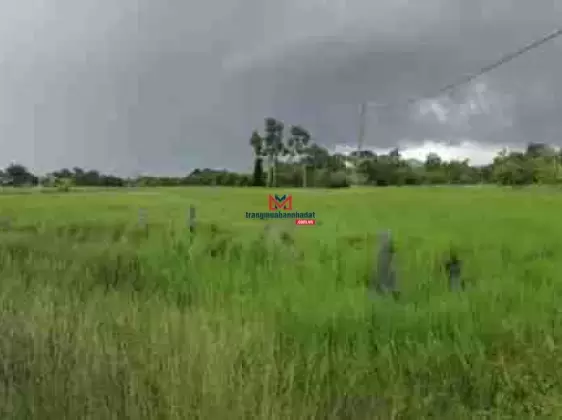 Bán đất chính chủ tại xã Qui Đức, huyện Bình Chánh