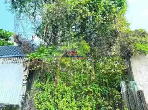 Giá tốt! Lô đất 5x29m hẻm xe hơi Huỳnh Tấn Phát, Phú Mỹ, Q7
