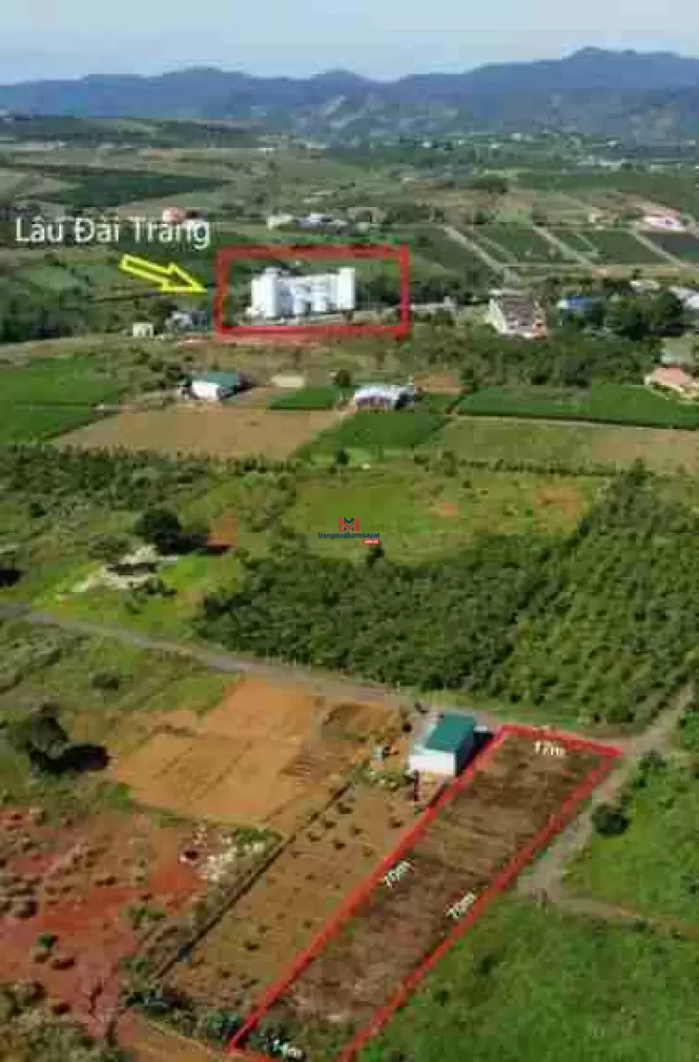 classifieds/2025_02/tuan_2/ban-dat-ly-thai-to2.jpg