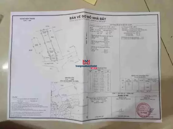 Cần chuyển nhượng quyền sử dụng đất và 2 căn nhà liền kề tại phường Cát Lái, TP. Thủ Đức