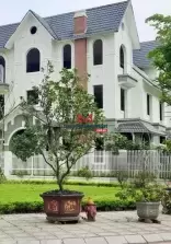 classifieds/2025_02/tuan_2/can-lien-ke-biet-thu-geleximco-can-ban-gap-lien-ke-60m2-1.jpg