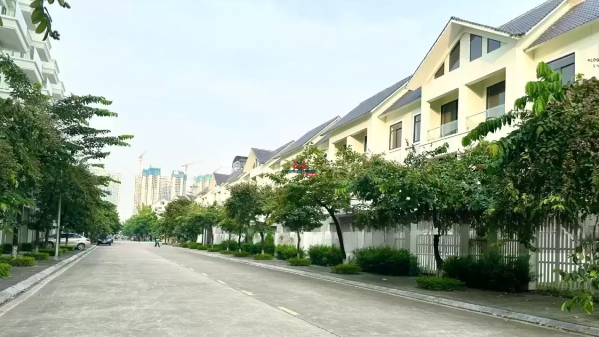 classifieds/2025_02/tuan_2/can-lien-ke-biet-thu-geleximco-can-ban-gap-lien-ke-60m2-4.jpg