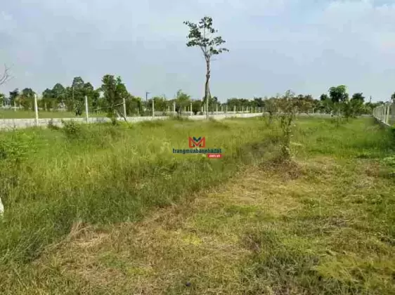 Chính chủ bán lô xã Trung Lập Thượng, huyện Củ Chi có vườn cây trái, ao cá thuận tiện các tỉnh