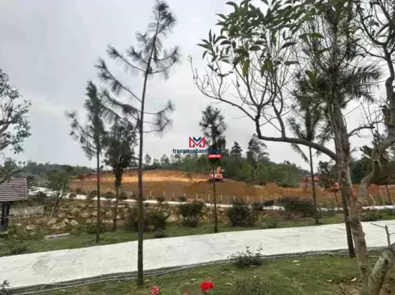 Gia đình em có mảnh đất 2000m2 nay muốn cắt bán 100m2 đến 200m2