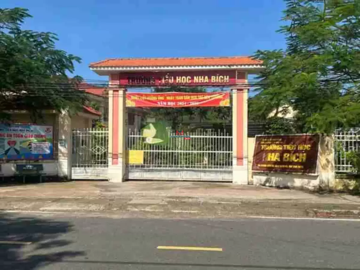 classifieds/2025_02/tuan_3/ban-nhanh-lo-dat-binh-phuoc3.jpg
