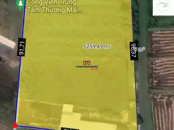 Bán đất tại Đức Hòa, Long An – 5.144m² có kho sẵn, đất trồng cây kiểng, giá tốt