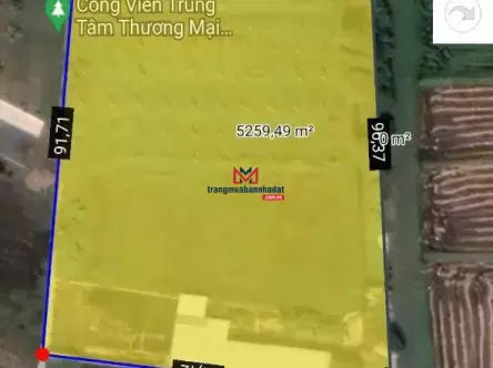 Bán đất tại Đức Hòa, Long An – 5.144m² có kho sẵn, đất trồng cây kiểng, giá tốt
