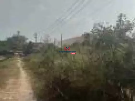 Bán đất nền tại Đường 530, Xã Nhuận Đức, Củ Chi, Hồ Chí Minh, 13,2 tỷ, 3300 m2