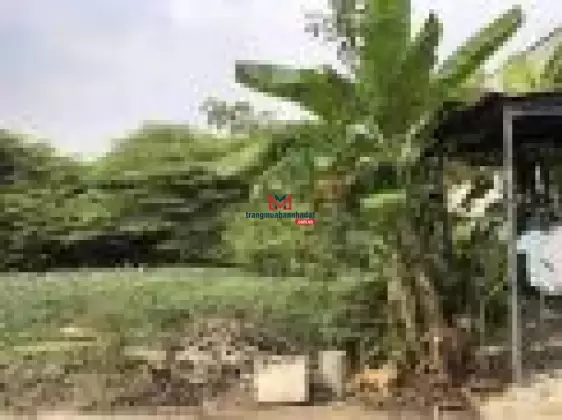 Bán lô đất 80m2 (5 x 16m), HXH đường Số 6, P. Long Trường, TP. Thủ Đức