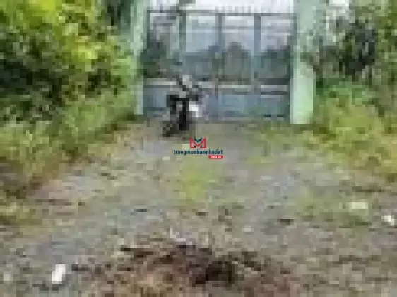 Nhà vườn nghỉ dưỡng Bình Mỹ giá rẻ chỉ 2,2 tỷ