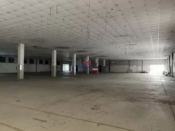 Bán Xưởng Đẹp Mặt Tiền Nguyễn Văn Tố, Tân Phú