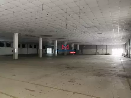 Bán Xưởng Đẹp Mặt Tiền Nguyễn Văn Tố, Tân Phú