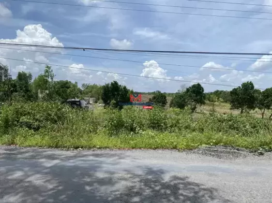 Cần bán kho xưởng tại Tân Phước tỉnh Tiền Giang- Quỹ đất lớn tiềm năng phát triển vượt trội