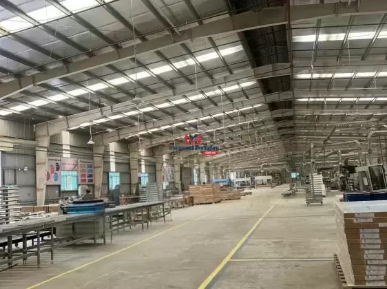 Bán kho bãi Long An - Thủ Thừa