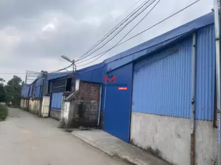 Bán Kho Nhà Xưởng Tại Xã Lộc An, Nam Định