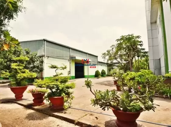 BÁN HOẶC CHO THUÊ KHO XƯỞNG 1HA TẠI KCN LONG AN